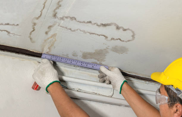 Affordable Basement Flood Cleanup solutions in Linden, TN